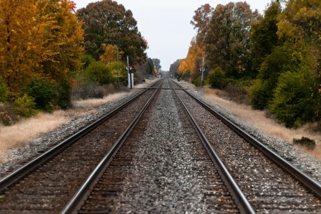 Vista simétrica dos trilhos de trem estendendo-se por uma paisagem com árvores e vegetação, ilustrando a malha ferroviária brasileira.
